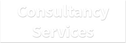 Consultancy Services
